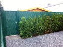 Taśma ogrodzeniowa PASKI 6 x 2,55mb SMART 19cm PROTECTO™ ZIELONA + 12 klipsów GRATIS