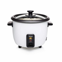 Tristar Rice cooker RK-6117 Grey, 300 W, 0.6 L