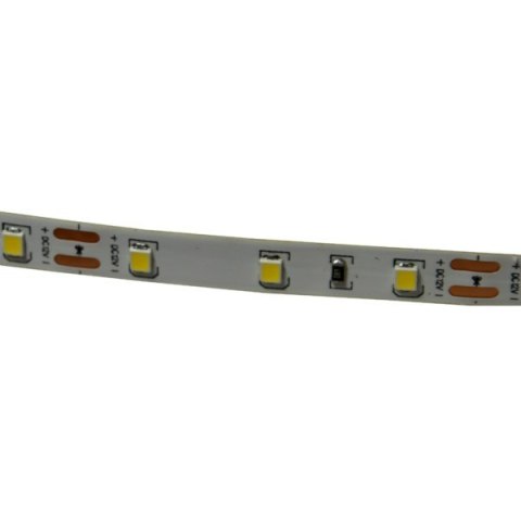 Taśma LED Premium 2835 60d/m 50m 6000K IP20