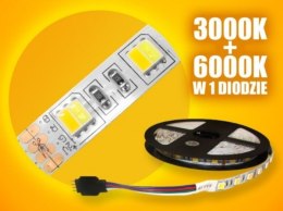 Taśma LED 5050 WW+CW 5m/300diod