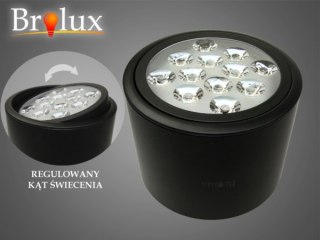 Downlight led Ryman 12W 4500K czarny