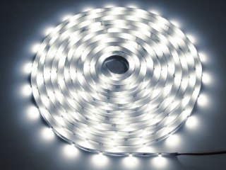 Taśma LED Premium 2835 60d/m 50m 4000K IP20