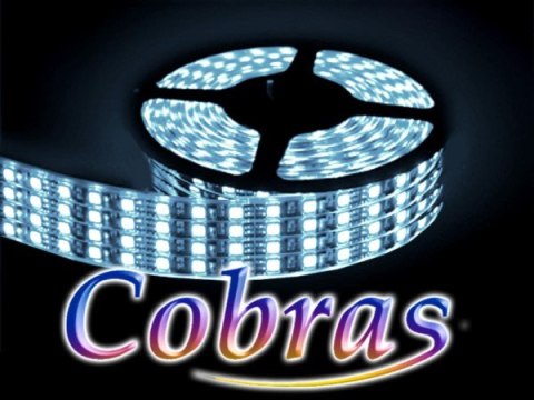 Taśma LED COBRAS 3528 biała zimna 4,8m/2160 24V