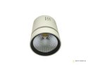 Downlight LED COB LONER 10W+2W biały ciepły+niebi