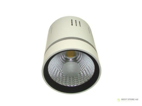 Downlight LED COB LONER 15W+3W biały zimny+niebi Downlight LED COB LONER 15W+3W biały zimny+niebi