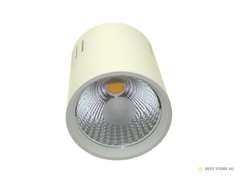 Downlight LED COB LONER 15W DW Downlight LED COB LONER 15W DW