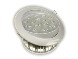 Downlight LED Power Albion 15W biały dzienny