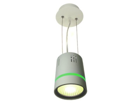 Downlight LED COB LONER 10W+2W biały ciepły+zielon