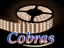 Taśma LED COBRAS 3528 biała ciepła 4,8m/2160 24V