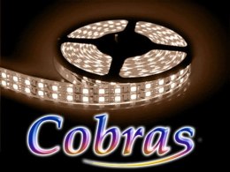 Taśma LED COBRAS 3528 biała ciepła 5m/1200 24V
