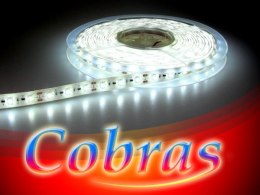 Taśma LED COBRAS 3528 biała zimna CC 5m/300diod I