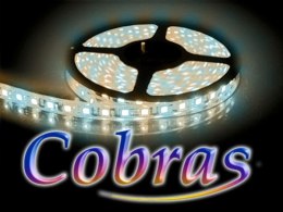 Taśma LED COBRAS 3528 biała zimna ciepła 600 24V