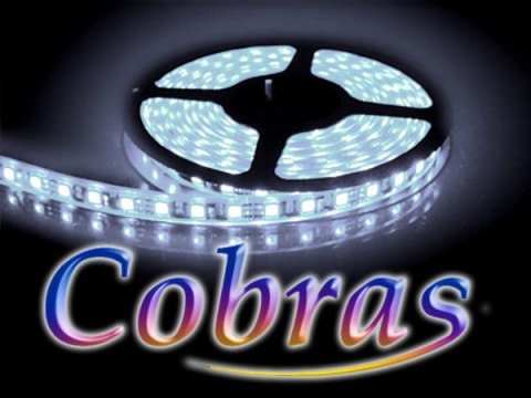 Taśma LED COBRAS 5050 biała zimna CC 5m/300diod IP