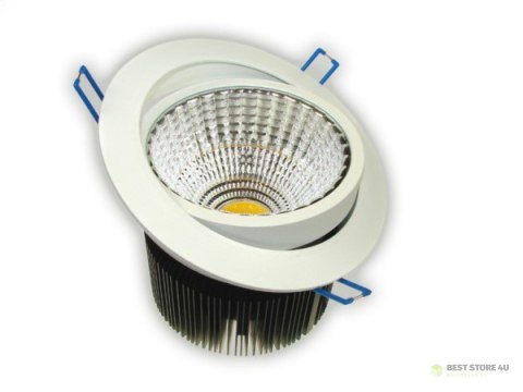 Downlight LED COB Rowana 30W biały dzienny Downlight LED COB Rowana 30W biały dzienny