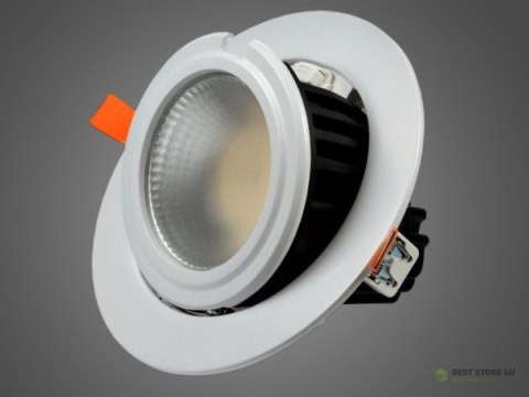 Downlight LED Gripen 28W regulowany DW