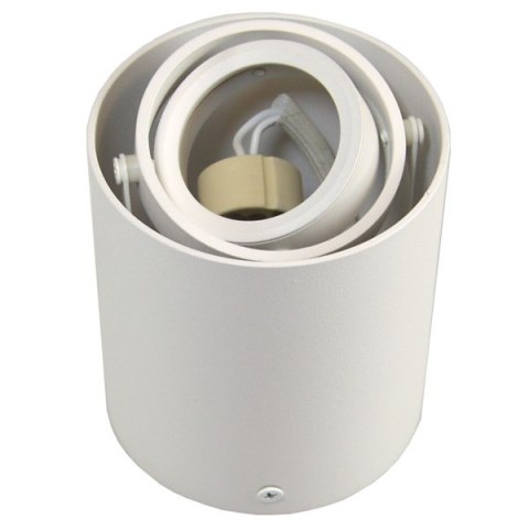 Oprawa sufitowa Sirok White ruchoma okrągła alumin