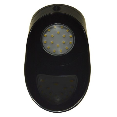 Oprawa elewacyjna LED Palesa 1W 4000K czarna z czu