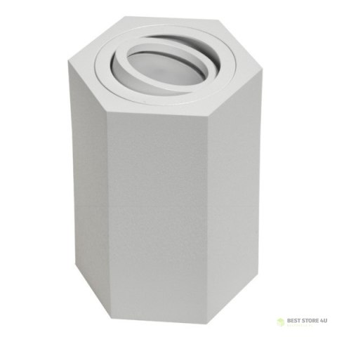 Oprawa sufitowa Areno White ruchoma aluminium 100x