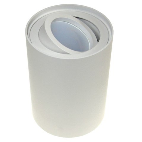 Oprawa sufitowa Corona White ruchoma okrągła alumi