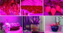 Lampa 200 LED do wzrostu uprawy roślin