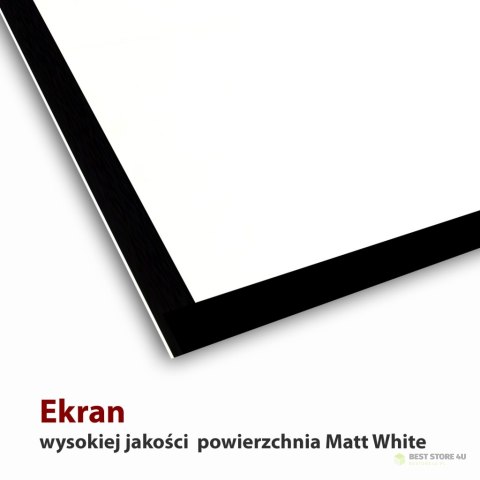 EKRAN ELEKTRYCZNY 16:9 106" 234x131cm z pilotem FS-106 16:9 ART EKRAN ELEKTRYCZNY 16:9 106" 234x131cm z pilotem FS-106 16:9 ART