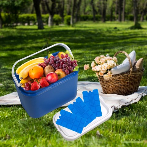 Wkład mrożący 2 x 400 ml Kamai Coolbox do lodówek turystycznych, kolor niebieski Wkład mrożący 2 x 400 ml Kamai Coolbox do lodówek turystycznych, kolor niebieski