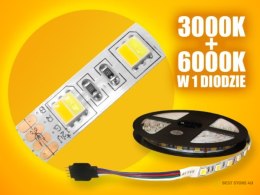 Taśma LED Basic 5050 WW+CW 5m/300diod