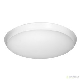 REWA LED 30W, plafon oświetleniowy, 3225lm, IP65, 4000K, klosz PC