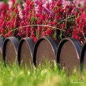 Obrzeże ogrodowe Garden Line IKRA 10m brązowe