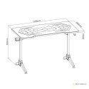 Biurko gamingowe RGB Led NanoRS, czarne, duże, 100kg max, wysokość 760mm, RS163