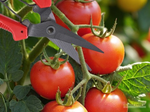 Nożyce ogrodowe ręczne do gałęzi krzewów nożyce do cięcia roślin trawy Nożyce ogrodowe ręczne do gałęzi krzewów nożyce do cięcia roślin trawy