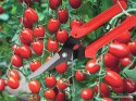 Nożyce ogrodowe ręczne do gałęzi krzewów nożyce do cięcia roślin trawy