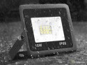 HALOGEN 10W ZIMNA (50)