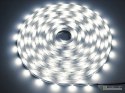 Taśma LED Premium 2835 120d/m 100m 3000K IP20