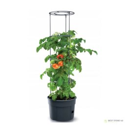 Doniczka do pomidorów Tomato Grower IPOM300