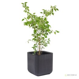 Doniczka Keter Cube Wood Planter M antracyt