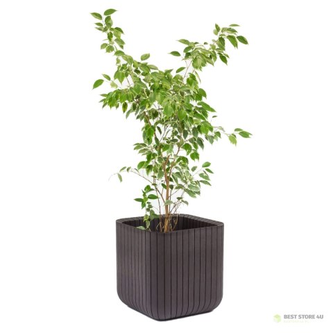 Doniczka Keter Cube Wood Planter M brązowa Doniczka Keter Cube Wood Planter M brązowa