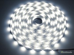 Taśma LED Premium 2835 60d/m 100m 4000k IP20