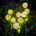 Ozdone ogrodowe lampki solarne Rebel- czosnek ozdobny