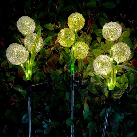 Ozdone ogrodowe lampki solarne Rebel- czosnek ozdobny