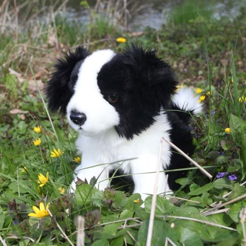 Rappa - Pluszowa realistyczna maskotka Pies Border Collie siedzący 30 cm Eco-Friendly