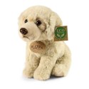 Rappa - Pluszowa realistyczna maskotka Pies Labrador Retriever siedzący 23 cm Eco-Friendly Soft Collection