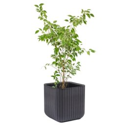 Doniczka Keter Cube Wood Planter M antracyt