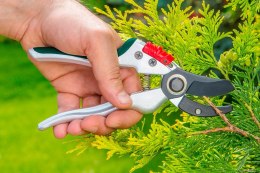 Sekator ogrodowy kowadełowy 195 mm, aluminiowy, średnica cięcia 18 mm VERTO