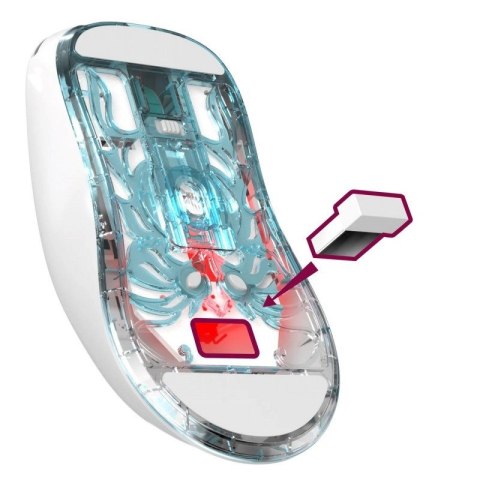 DEFENDER MYSZ BEZPRZEWODOWA FAME GM-516 RF+BT 10000DPI 6P BIAŁA 52516 Defender