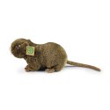Rappa - Pluszowa realistyczna maskotka Nutria 27 cm Eco-Friendly Rappa