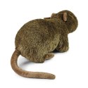 Rappa - Pluszowa realistyczna maskotka Nutria 27 cm Eco-Friendly Rappa