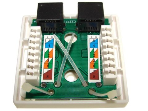Puszka natynkowa cat5e 2x RJ-45 UTP zatrzaskowa