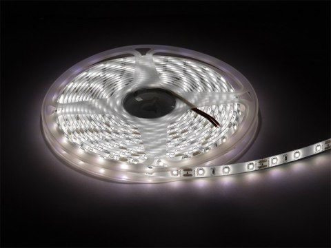 Taśma led biały zimny 2835 5m/300wodoodporna Blow