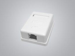 Puszka natynkowa cat5e 1x RJ-45 STP skręcana